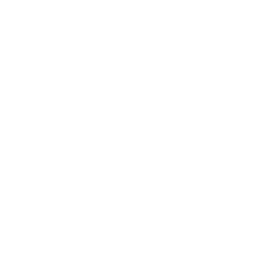 Revlv Solutions Inc.